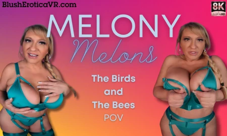 Thumbnail video 'Melony Melons - The Birds and The Bees'