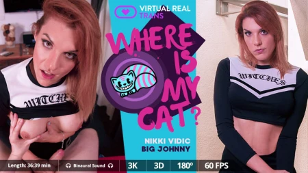 Thumbnail video 'Where is my cat?'