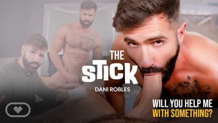 Thumbnail video 'The Stick'