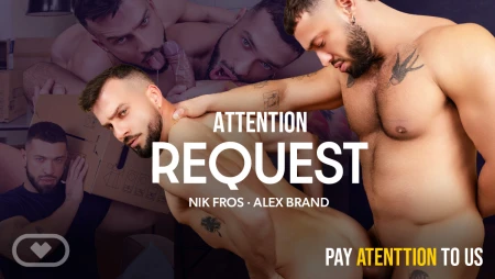 Thumbnail video 'Attention Request'