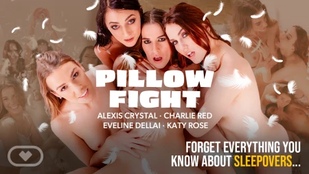 Thumbnail video 'Pillow Fight'