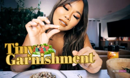 Thumbnail video 'Tiny Garnishment Feat Astrodomina'