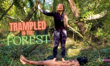 Thumbnail video 'Trampled In The Forest Feat Astrodomina'