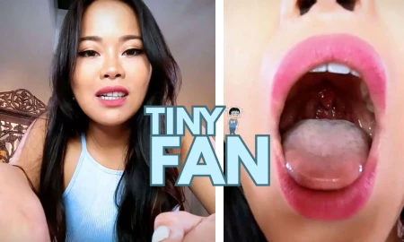 Thumbnail video 'Tiny Fan Feat Astrodomina'