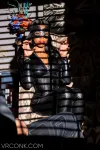 The Bat And The Cat – Image 6