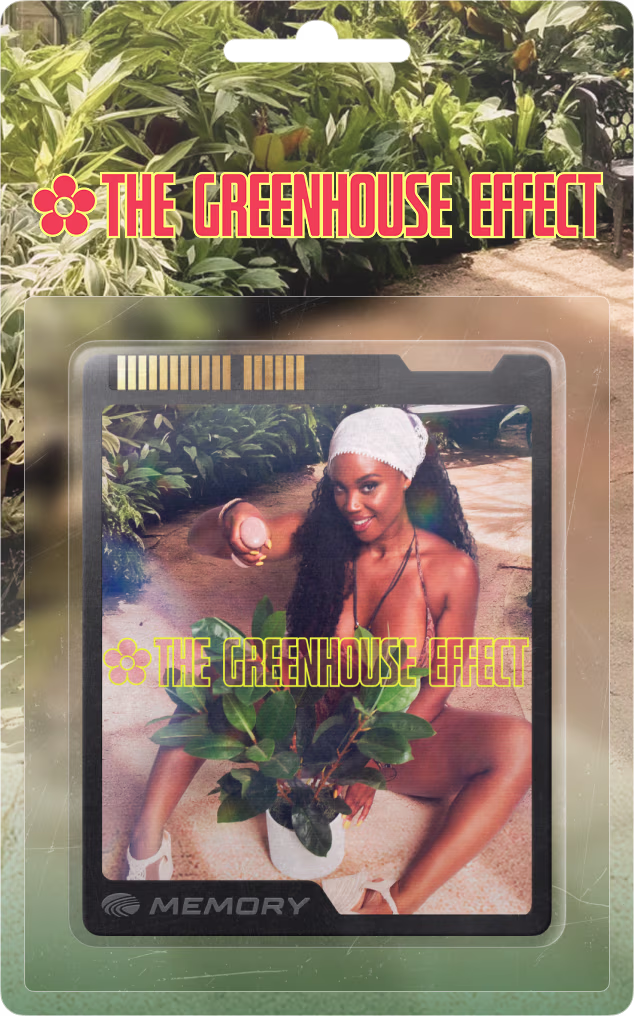 The Greenhouse Effect
