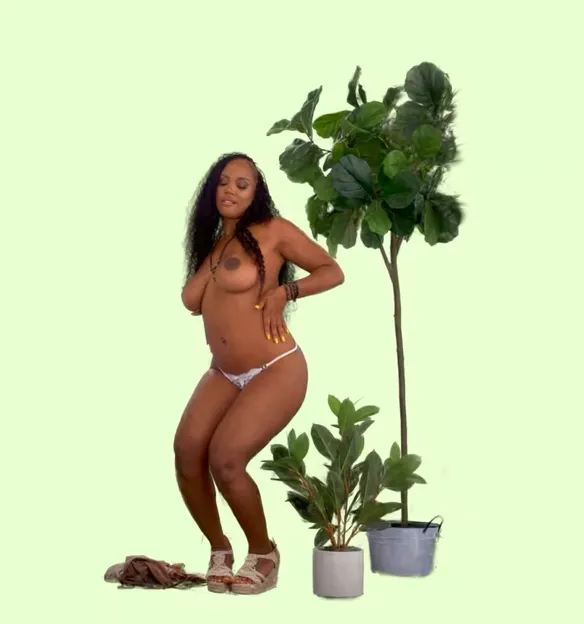 The Greenhouse Effect – 1