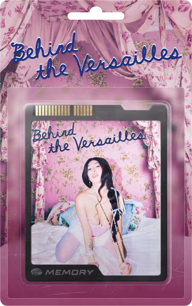 Behind the Versailles