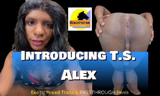Thumbnail video 'Introducing T.S.  Alex - Exotic Mixed Trans & Passthrough Penis'
